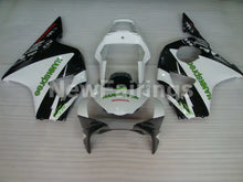 Charger l'image dans le visualiseur de la galerie, White and Black HANN Spree - CBR 954 RR 02-03 Fairing Kit